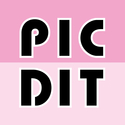 PICDIT