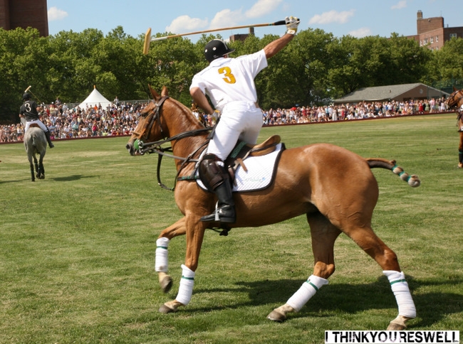 because these horses were working so hard.
