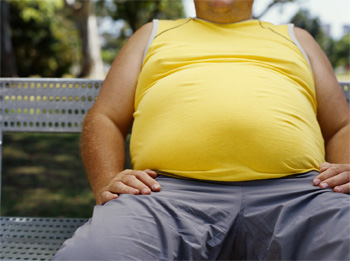 315gut 315gut
